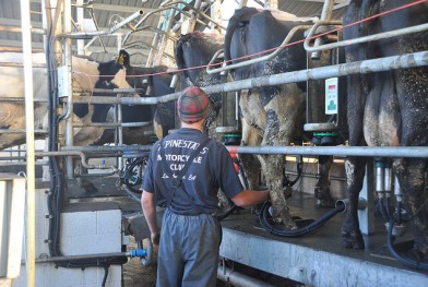 Fonterra_1