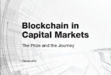 BlockChain-In-Capital-Markets.pdf.thumb.319.319