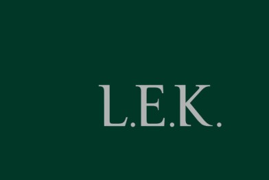 logo_lek_consultor
