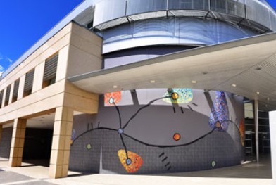 tafe-nsw-mckinsey