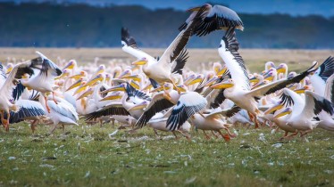 adobestock146759560
