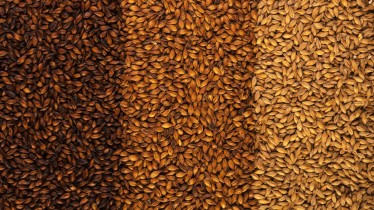 11072022malt