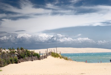 capferret001
