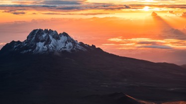 adobestock407065959