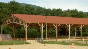 manege-equestre-bois-chevauxroine2-ex-bcgresize
