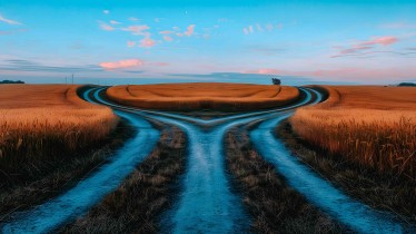 adobestock889587536dng-eleven