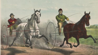 matchrace