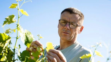 stephane-gautrotex-mews-partnersneo-vigneron