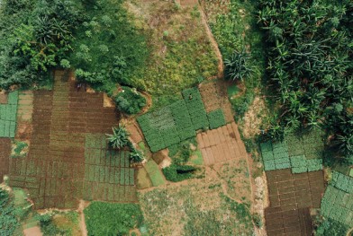 Aerial_Photo_of_Agriculture_in_Africa
