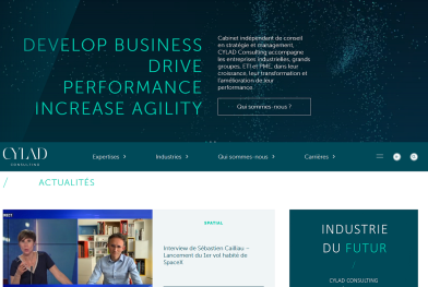 Screenshot_2020-06-08_Cylad_Consulting