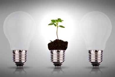 conseil_developpement_durable