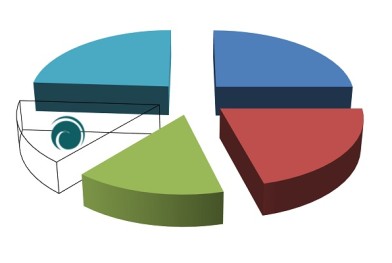 marche_conseil_strategie_france_2011