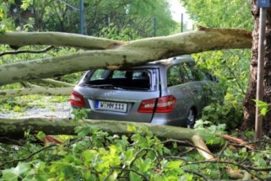 secteur_assurance_conseil