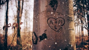 Illustration_amour_et_conseil_par_glenn_carstens_peters_unsplash
