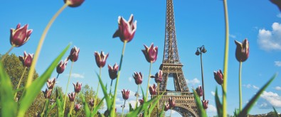 imageowparis imageowparis